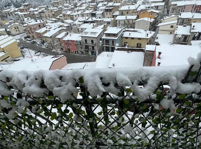 Lorenzo Il Magnifico تشلانو